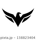 Elegant Strong Eagle Branding Logo 138823404