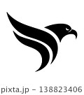 Simple Clean Eagle Logo for Branding 138823406