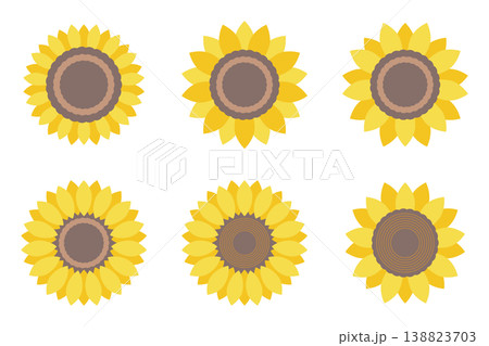 正面を向いたひまわりのお花 セット 正面を向いたひまわりのお花 セット 138823703