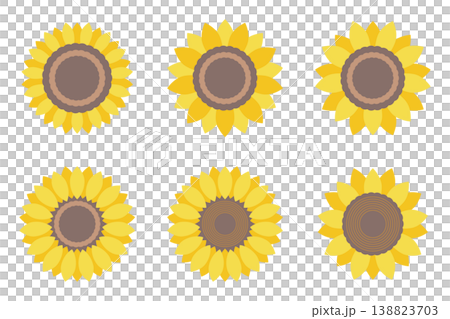 正面を向いたひまわりのお花 セット 正面を向いたひまわりのお花 セット 138823703