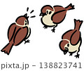 3羽のスズメ。鳥のイラスト。アイソメトリック図。 138823741