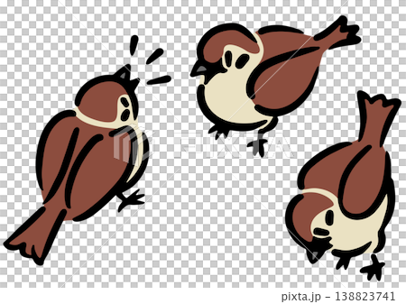 3羽のスズメ。鳥のイラスト。アイソメトリック図。 3羽のスズメ。鳥のイラスト。アイソメトリック図。 138823741