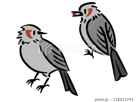 2羽のヒヨドリ。鳥のイラスト。アイソメトリック図。 2羽のヒヨドリ。鳥のイラスト。アイソメトリック図。 138823743