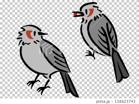2羽のヒヨドリ。鳥のイラスト。アイソメトリック図。 2羽のヒヨドリ。鳥のイラスト。アイソメトリック図。 138823743
