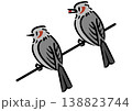 電線に止まるヒヨドリ。鳥のイラスト。アイソメトリック図。 138823744