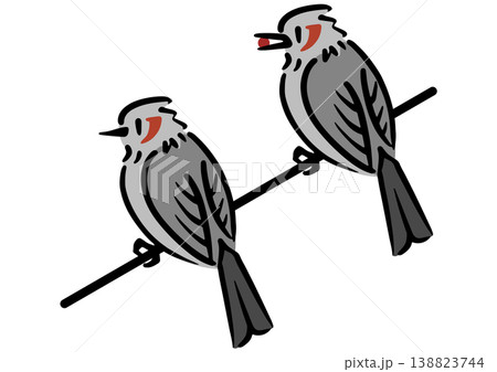 電線に止まるヒヨドリ。鳥のイラスト。アイソメトリック図。 電線に止まるヒヨドリ。鳥のイラスト。アイソメトリック図。 138823744