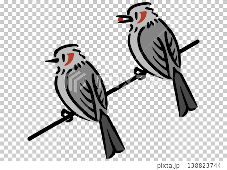 電線に止まるヒヨドリ。鳥のイラスト。アイソメトリック図。 電線に止まるヒヨドリ。鳥のイラスト。アイソメトリック図。 138823744