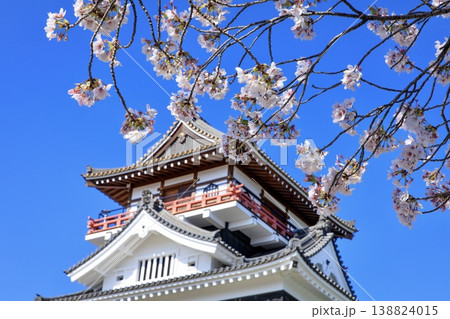 清須市、清洲城の天守閣と満開の桜 138824015