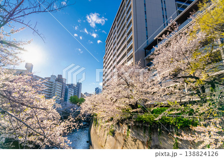 東京都心の神田川沿いに続く満開の桜並木と都市風景 東京都心の神田川沿いに続く満開の桜並木と都市風景 138824126