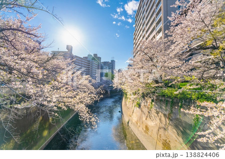 東京都心の神田川沿いに続く満開の桜並木と都市風景 東京都心の神田川沿いに続く満開の桜並木と都市風景 138824406