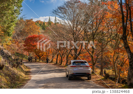 豊田市のタカドヤ湿地の風景(愛知県) 豊田市のタカドヤ湿地の風景(愛知県) 138824468