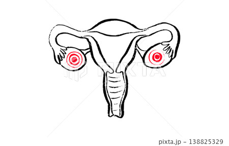 Female reproductive system Female reproductive system 138825329