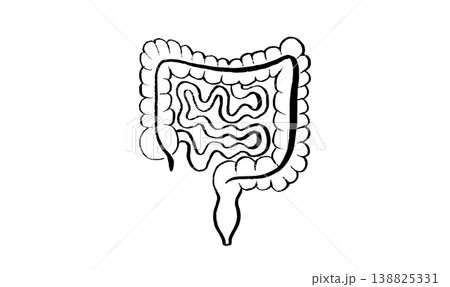 Human intestine sketch Human intestine sketch 138825331