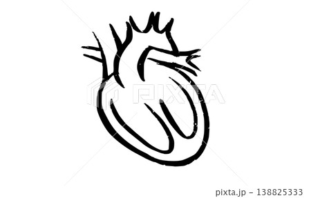 Human heart icon Human heart icon 138825333