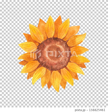 Sunflower, isolated watercolor illustration. Rustic yellow flower, hand drawn. Vibrant wildflowers for a farmers market, food festival, harvest, or postcard. Sunflower, isolated watercolor illustration. Rustic yellow flower, hand drawn. Vibrant wildflowers for a farmers market, food festival, harvest, or postcard. 138825461