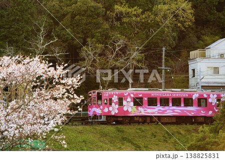 桜咲く夕暮れの山道を走る錦川清流線 桜咲く夕暮れの山道を走る錦川清流線 138825831