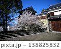 上田城　桜 138825832
