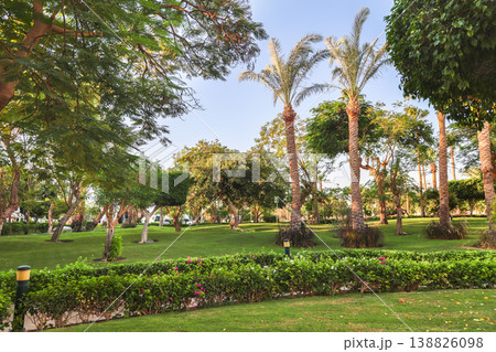 Beautiful area with lawn and palm trees Beautiful area with lawn and palm trees 138826098