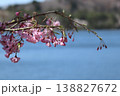 桜のある風景 138827672