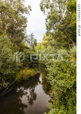Bright Canyon Walk in Australia Bright Canyon Walk in Australia 138828195