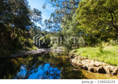 Bright Canyon Walk in Australia 138828229