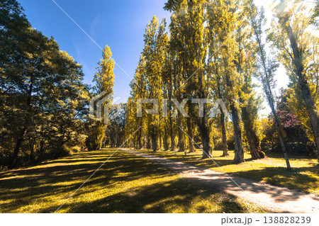Bright Canyon Walk in Australia Bright Canyon Walk in Australia 138828239