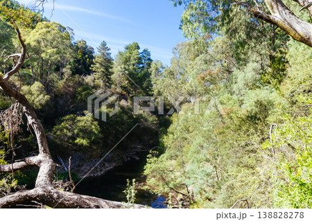 Bright Canyon Walk in Australia 138828278