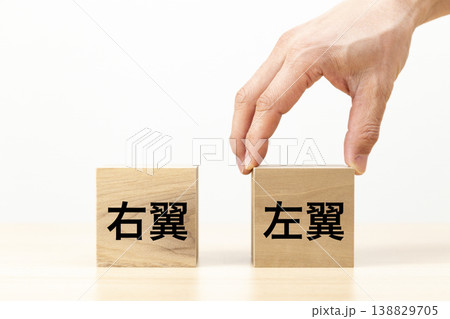 「左翼」と書かれたブロックを選ぶ手元 138829705