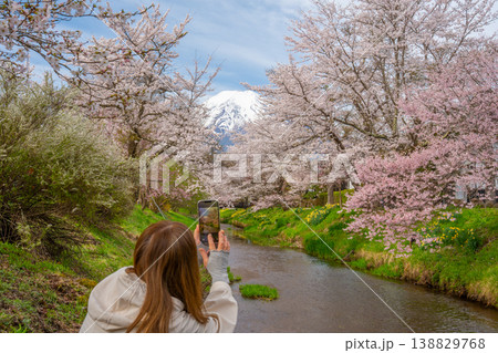 忍野から望む春の桜と富士山 「忍野村」 忍野から望む春の桜と富士山 「忍野村」 138829768
