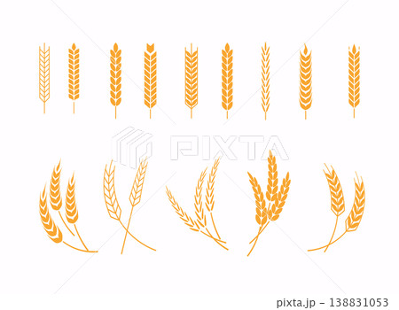 Set of wheats ears icons and wheat design elements. Harvest wheat grain, growth rice stalk and whole bread grains or field cereal nutritious. Set of wheats ears icons and wheat design elements. Harvest wheat grain, growth rice stalk and whole bread grains or field cereal nutritious. 138831053