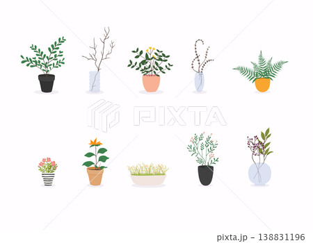 Set of decorative house plants. Flowerpot isolated objects, houseplant flower pot collection. 138831196