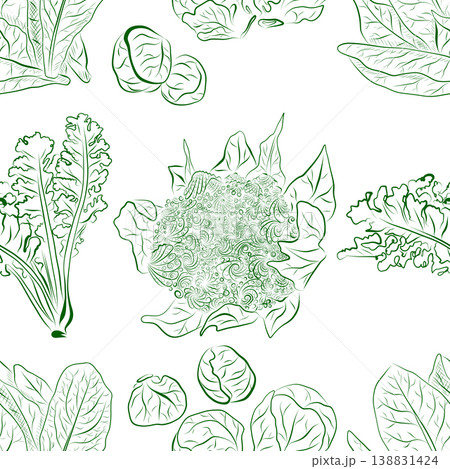 Seamless pattern of line drawings featuring cauliflower, broccoli, and lettuce leaves Seamless pattern of line drawings featuring cauliflower, broccoli, and lettuce leaves 138831424