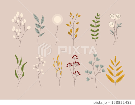 Herbs and Wild Flowers. Cute floral elements. Flat design modern vector illustration concept. Herbs and Wild Flowers. Cute floral elements. Flat design modern vector illustration concept. 138831452