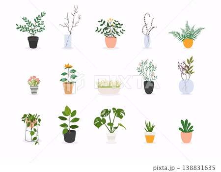 Set of decorative house plants. Flowerpot isolated objects, houseplant flower pot collection. Set of decorative house plants. Flowerpot isolated objects, houseplant flower pot collection. 138831635