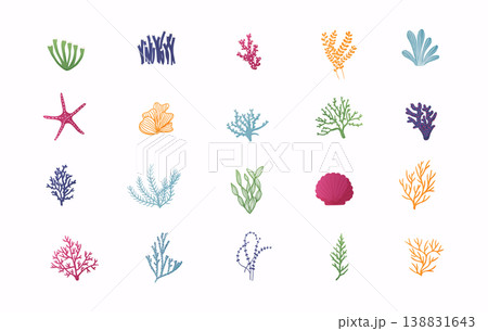 Sea plants and aquarium seaweed vector set. 138831643