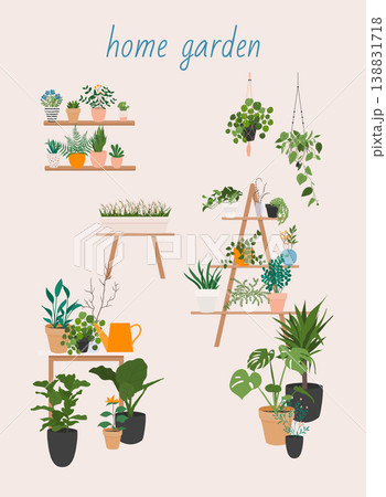 Garden, flowers and plants at home and outdoor. Potted Plants Set Vector. Indoor Home, Office Modern Style Houseplants. 138831718