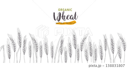 Paddy Wheat organic grain products food banner sign vector design. Paddy Wheat organic grain products food banner sign vector design. 138831807