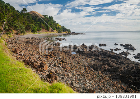 Rocky coastline with calm sea in New Zealand 138831901