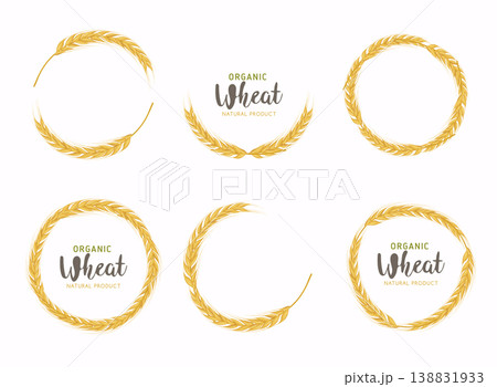 Paddy Wheat organic grain products food banner sign vector design. 138831933