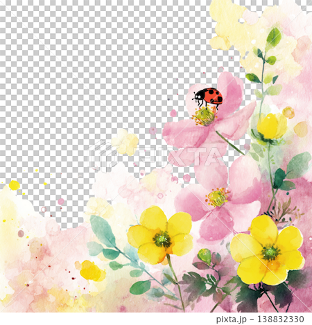 充滿活力的植物背景，以花朵上的瓢蟲和水彩花朵為特色，並留有文字空間。 138832330