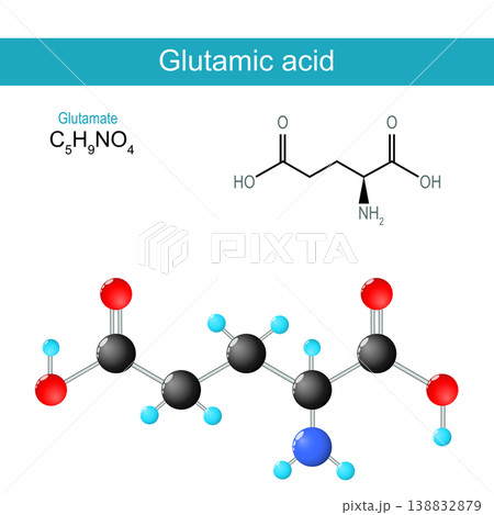 lutamic acid molecule. Molecular chemical structural formula and model of Glutamate lutamic acid molecule. Molecular chemical structural formula and model of Glutamate 138832879