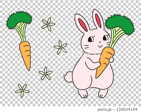 ニンジンを持ったウサギのイラスト 138834104