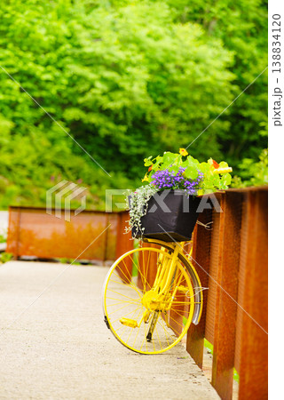Bike with flowers decoration, Norway 138834120