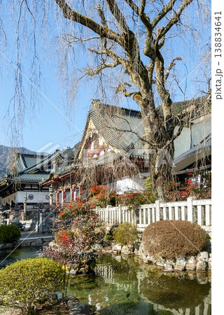 身延山久遠寺の御池と本堂 山梨県身延町 冬の寺院風景 身延山久遠寺の御池と本堂 山梨県身延町 冬の寺院風景 138834641