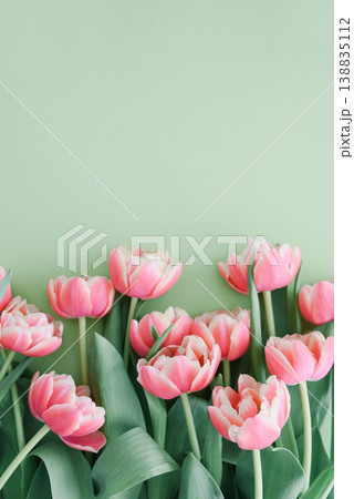 Bouquet of pink tulips on green background. Anniversary celebration concept. Bouquet of pink tulips on green background. Anniversary celebration concept. 138835112