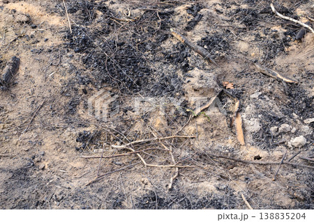 Burnt ground texture with ashes of dry grass and branches. Close-up of scorched earth after a fire 138835204
