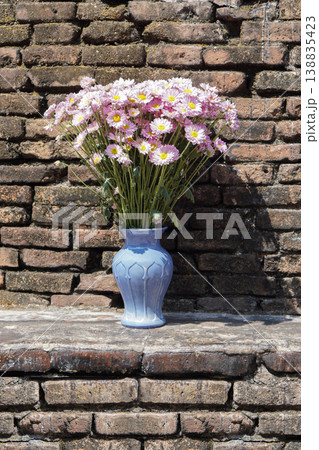 front view yellow pollen and pink chrysanthemums bouquet in blue ceramic vase on old and antique brick background, nature, fashion, copy space 138835423