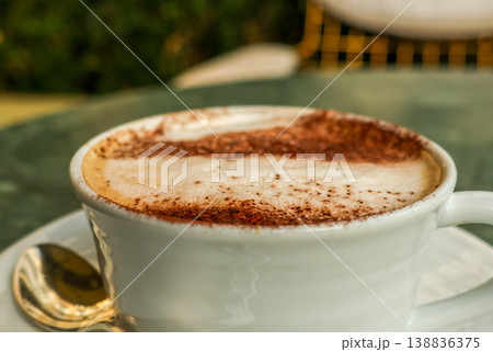 Close up of a rich cappuccino with milk foam and chocolate powder, perfect for a European cafe break or morning drink Close up of a rich cappuccino with milk foam and chocolate powder, perfect for a European cafe break or morning drink 138836375
