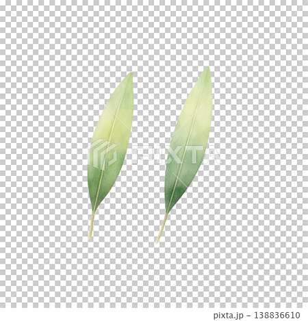 綠色花環水彩插畫邊框材料 138836610