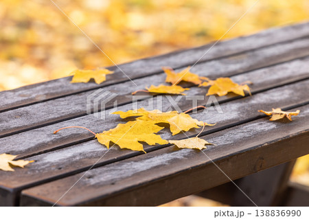 Yellow autumn leaves on wooden table in cozy atmosphere Yellow autumn leaves on wooden table in cozy atmosphere 138836990